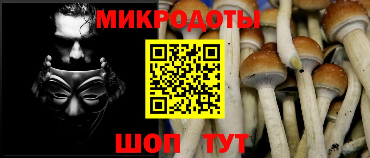 Белгород  Псилоцибиновые грибы MAGIC MUSHROOMS  Галлюциногенные грибы Magic Shrooms  Вход с VPN 